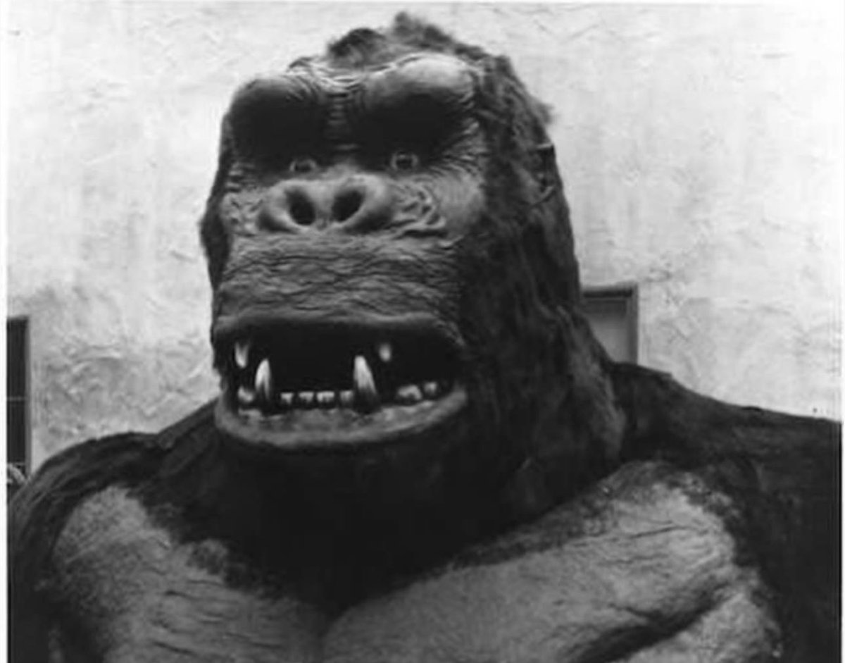 Perry Stone tweet media