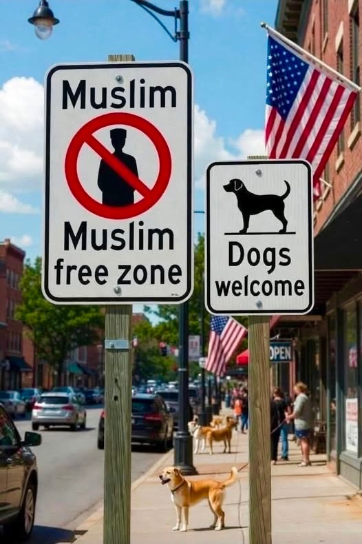 𝙲𝚘𝚗𝚜𝚎𝚛𝚟𝚊𝚝𝚒𝚟𝚎 👑 𝙳𝚒𝚟𝚊™ tweet media