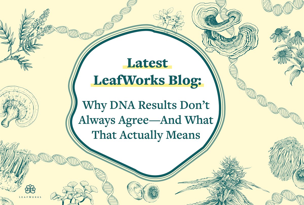 LeafWorks tweet media