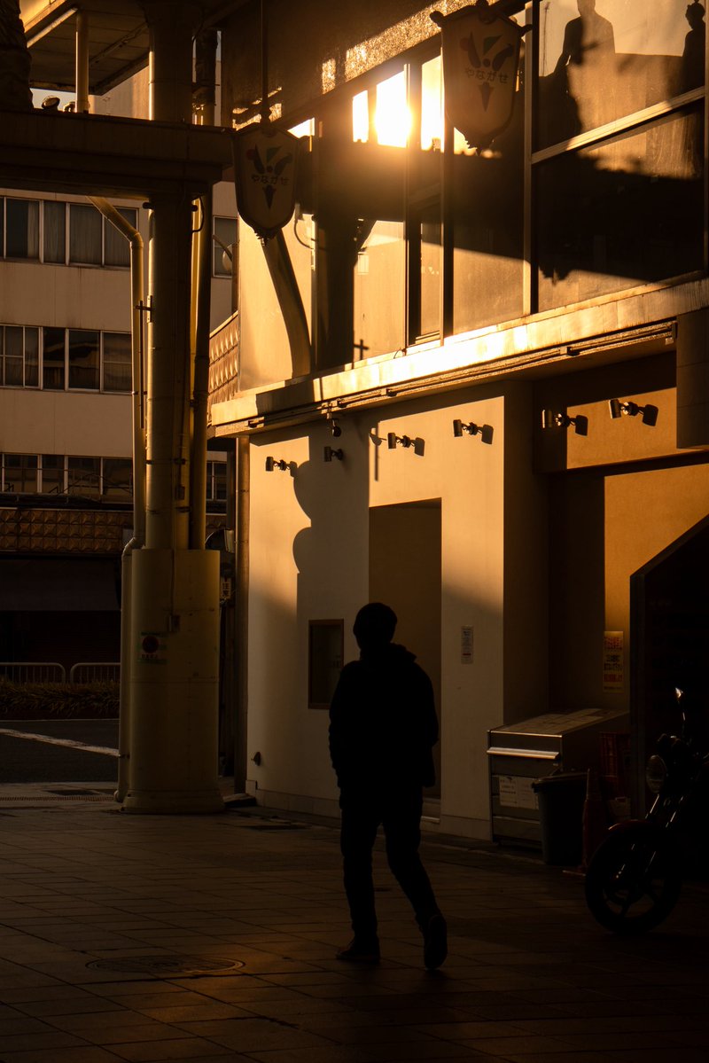 きりまちゃん(ｻﾌﾞ) tweet media