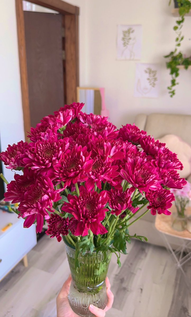 ✨ Baraah | براءة tweet media