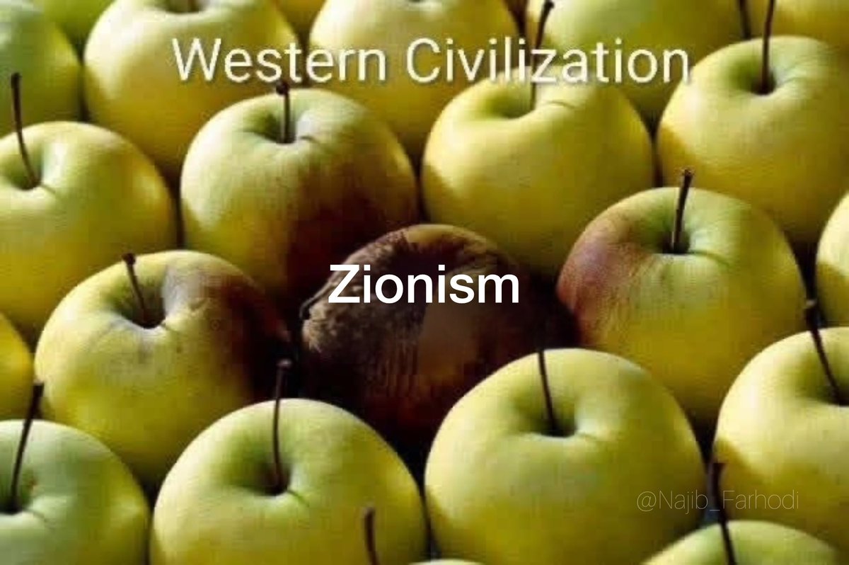 Najib Farhodi tweet media