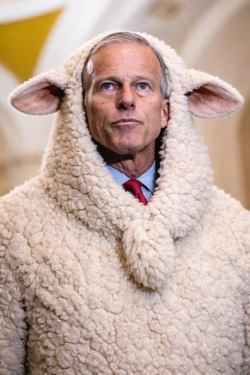 JckellerIII's tweet photo. @LeaderJohnThune @johnthune is a wolf in sheep’s clothing.  He is still suckling from McConnell’s teat and has no interest in passing the Save America Act nor in helping get any of  @POTUS ‘ agenda passed.  #NotALeader #MikeLeeForLeader https://t.co/ow8Dvld12h