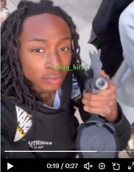 TruePatriotBulldog tweet media