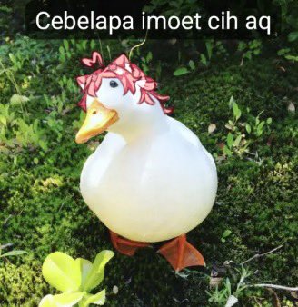 Momochan 🩷🎀 tweet media