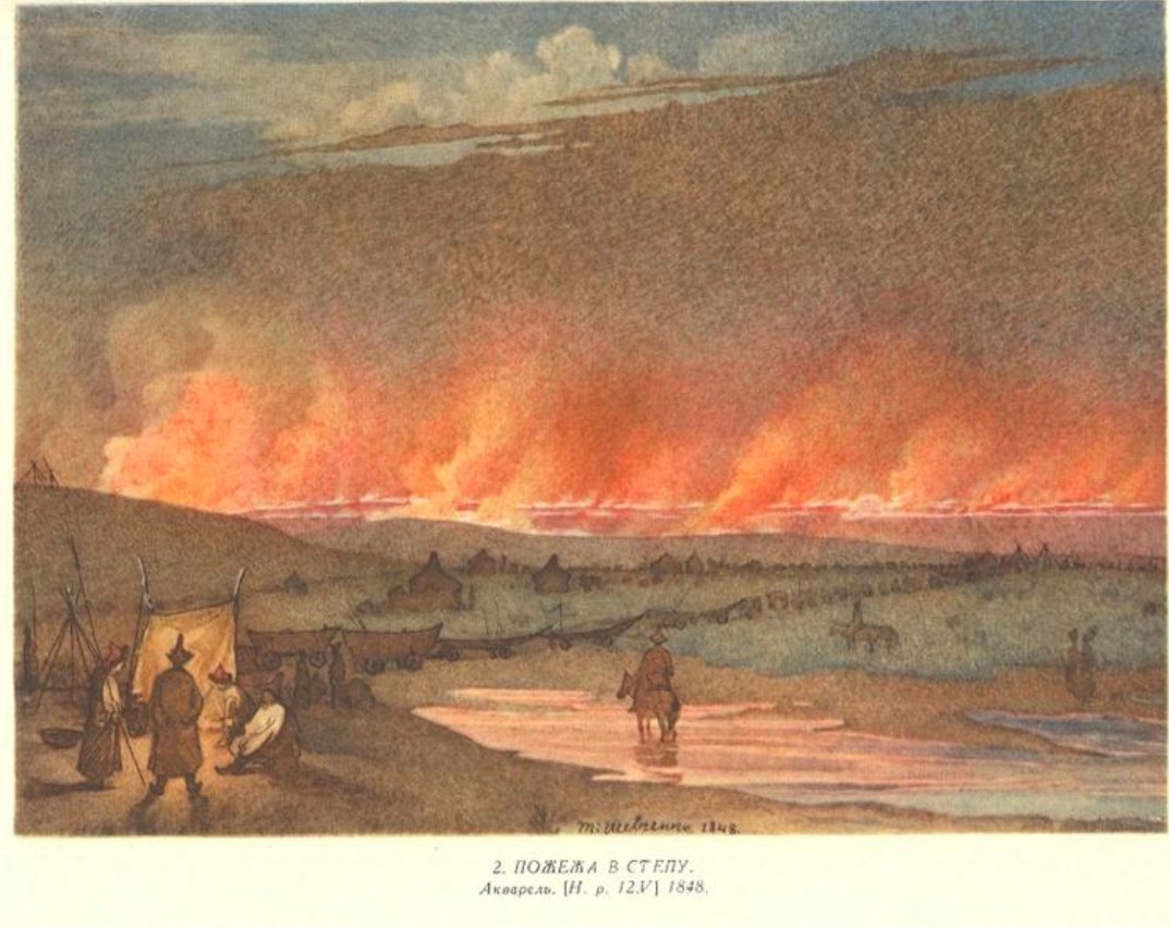 怒っている洗熊🦝💢 tweet media