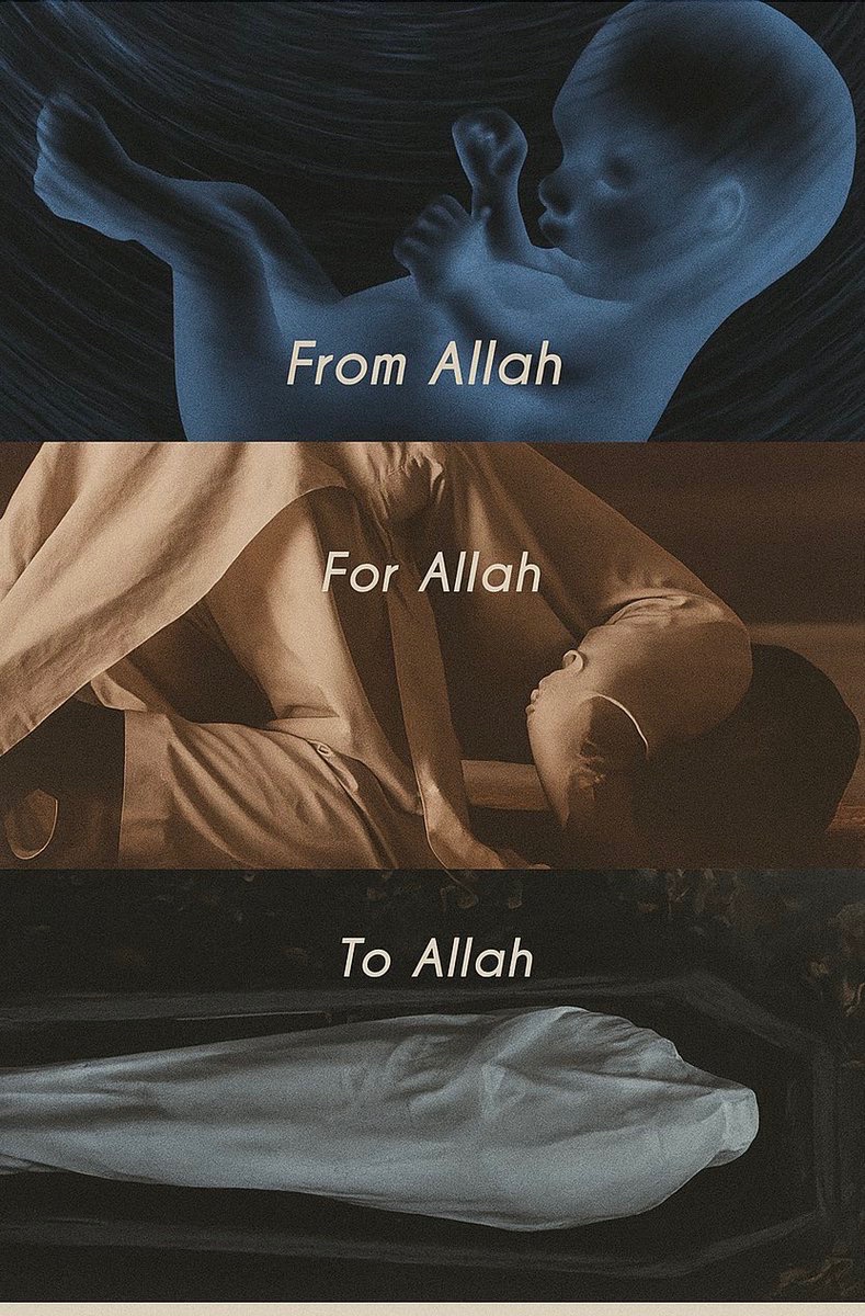 MuslimMatters tweet media