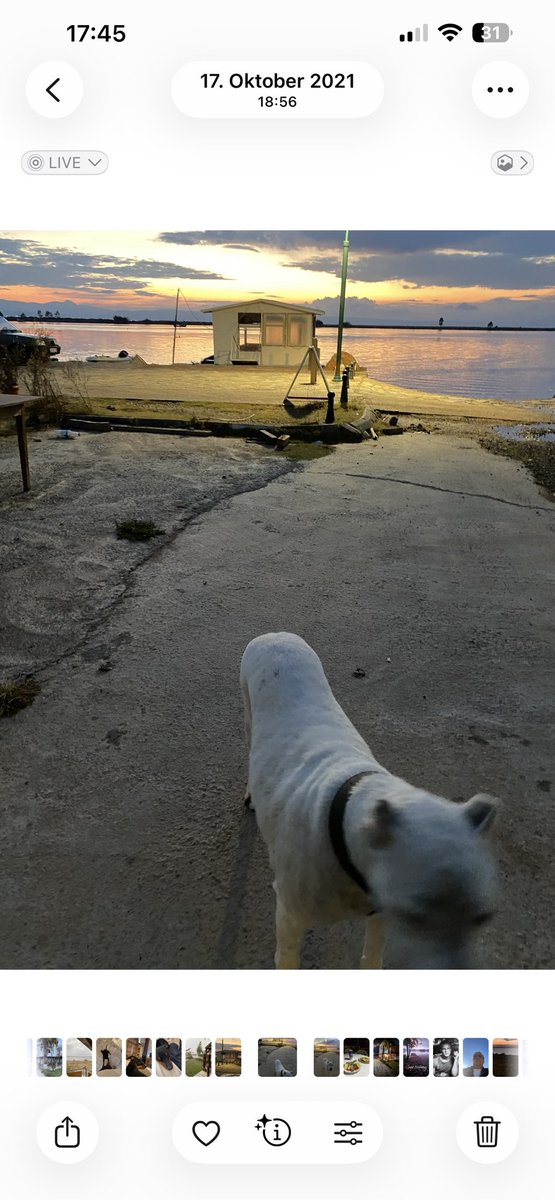 Bülent Mühlstrasser tweet media