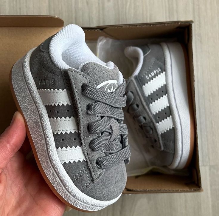 โฌ๐พโ ๐๐๐ฝ-๐โฏ๐๐ฉท๐ tweet media