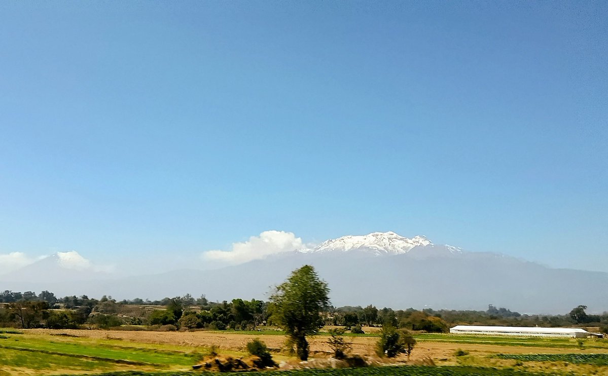 Serpientemplumada tweet media