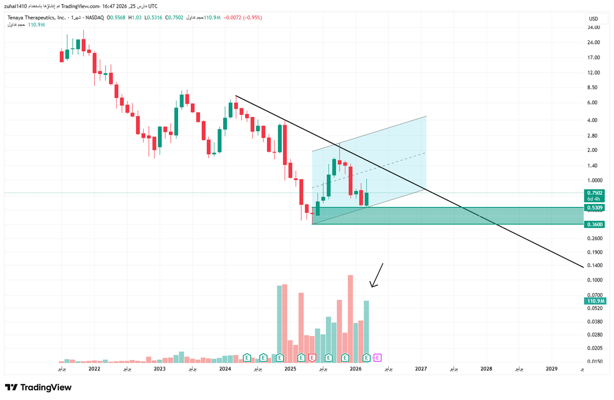 🇸🇦 | Z tweet media