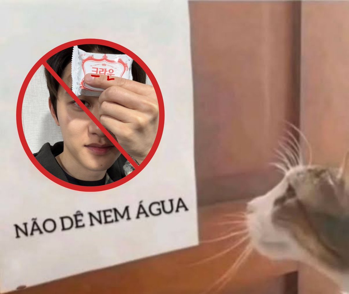 ᅟlany ﹡ᅟ╱ᅟ开 tweet media