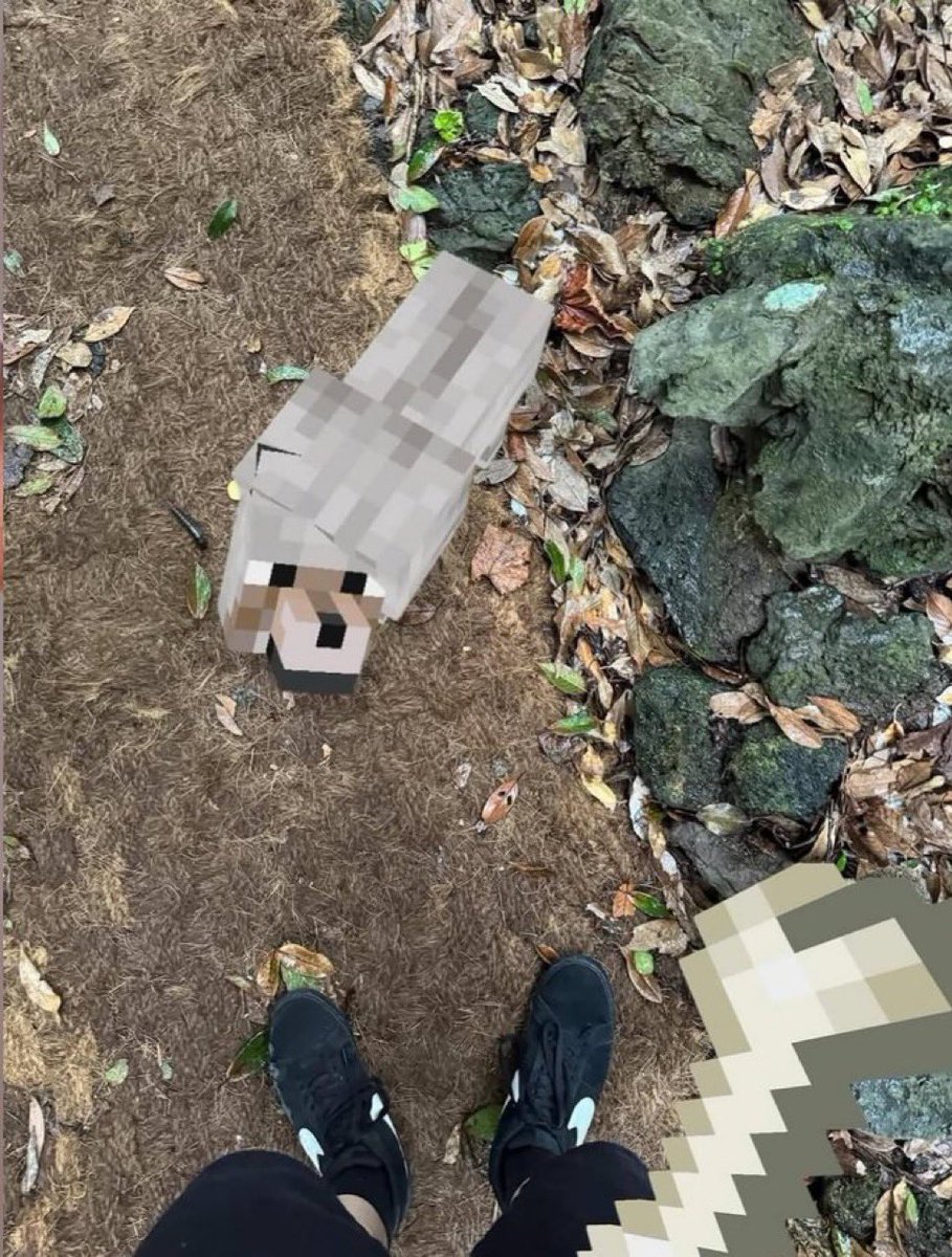 김도토리 tweet media