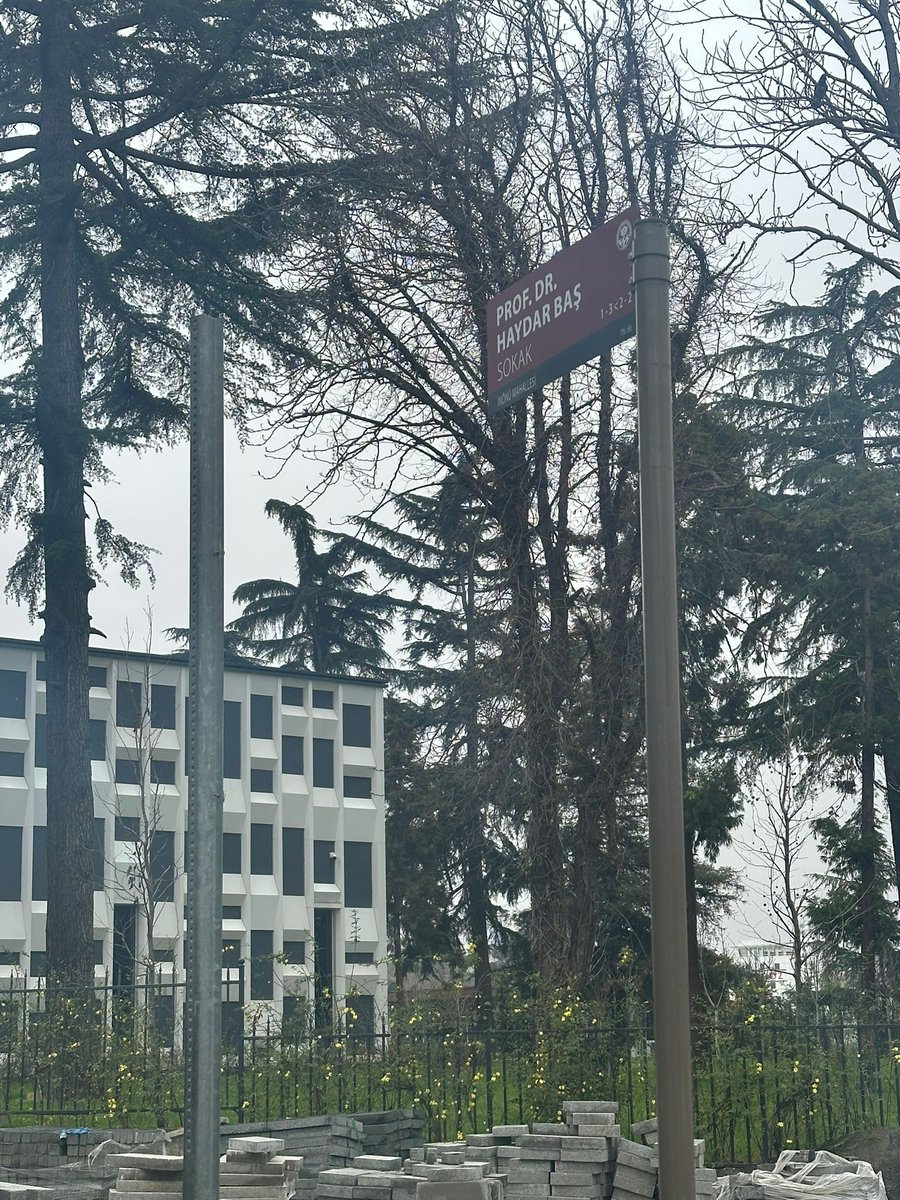 Trabzon- Ortahisar Belediyesi’nin aldığı kararla Prof. Dr. Haydar Baş’ın ismi yıllarca öğretmenlik yaptığı Trabzon Lisesi’nin olduğu sokağa bugün tabelası da asıldı. 
Ebedi Liderimizin adının yaşatılmasında emeği geçen herkese teşekkür ederiz.