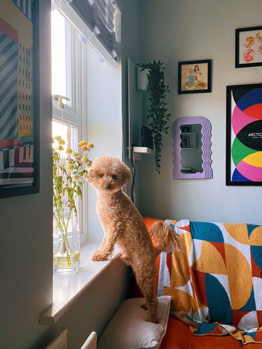 Natty Pongpiboonkiat tweet media