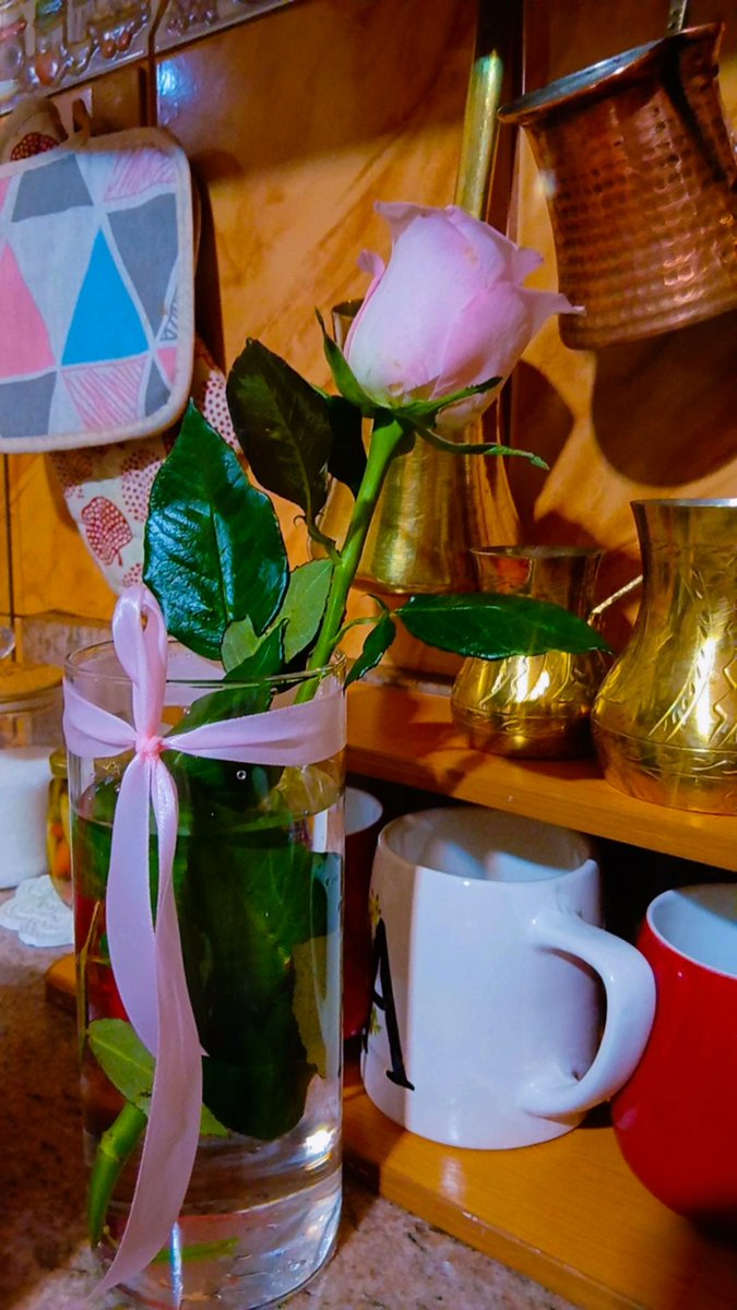 Hawraa Awde🦋 tweet media