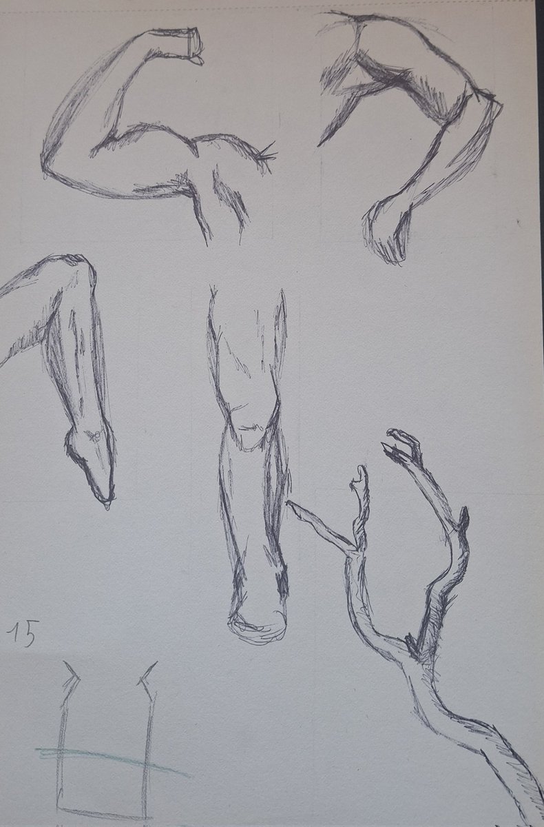 lealartbay 🏳️‍⚧️ tweet media