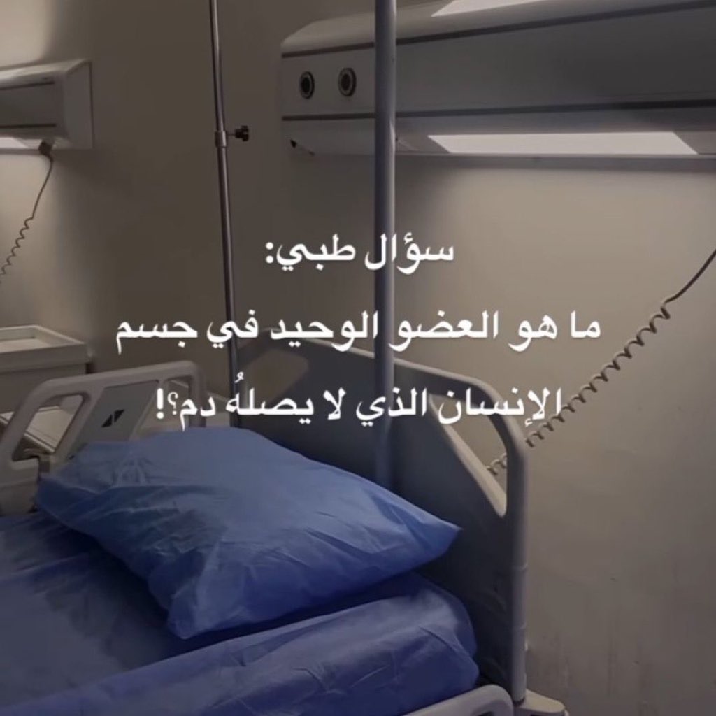 𝗳𝗼𝗼𝘇 tweet media