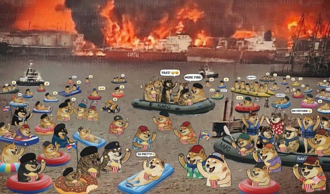 @BrennpunktUA 🇩🇪🇺🇦 tweet media