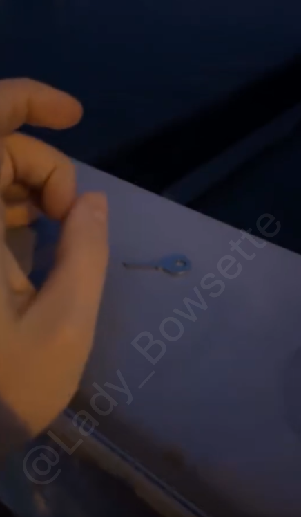 Goddess Bowsette tweet media