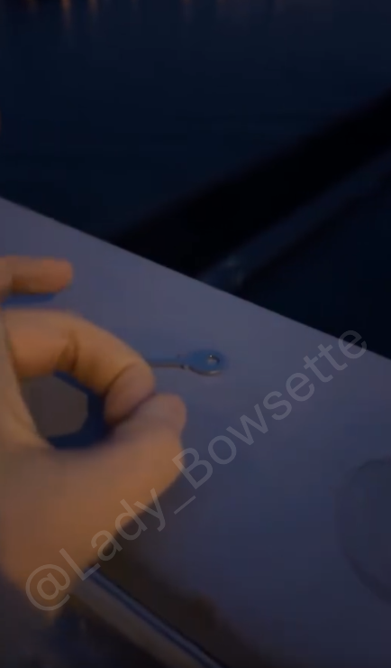 Goddess Bowsette tweet media