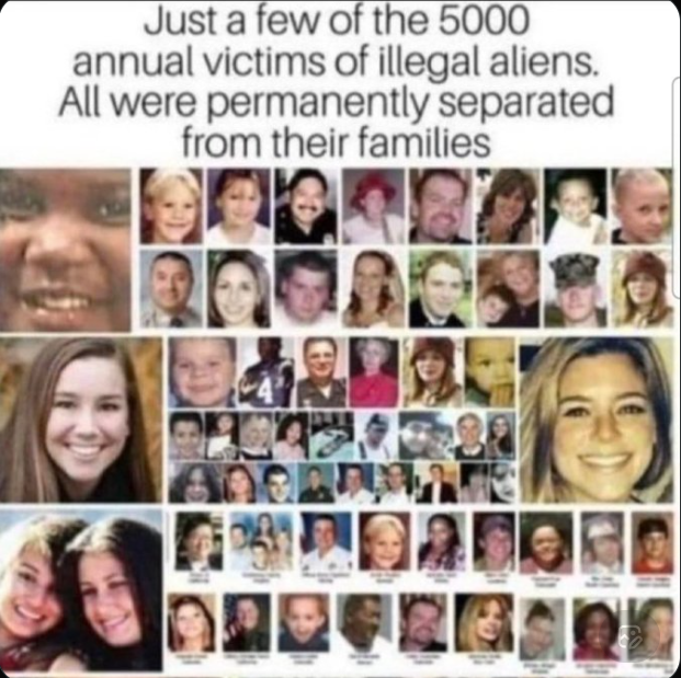 Freedom258 🙏 🗣🗣🇺🇸 tweet media