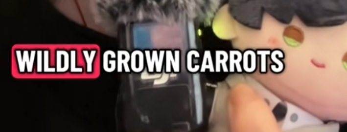 Starlite-Li|| Dawnbreaker's Dream girl😐 tweet media