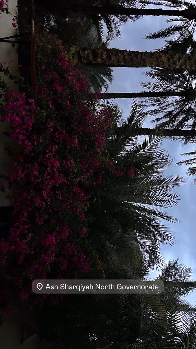 𝑁𝑂𝑂𝑅 tweet media