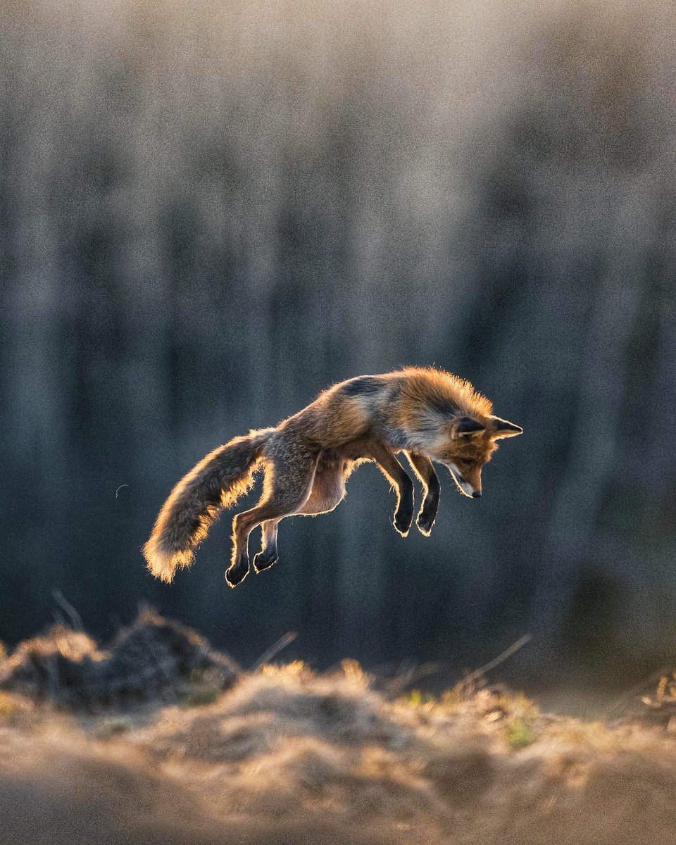 Photo Press Diary tweet media