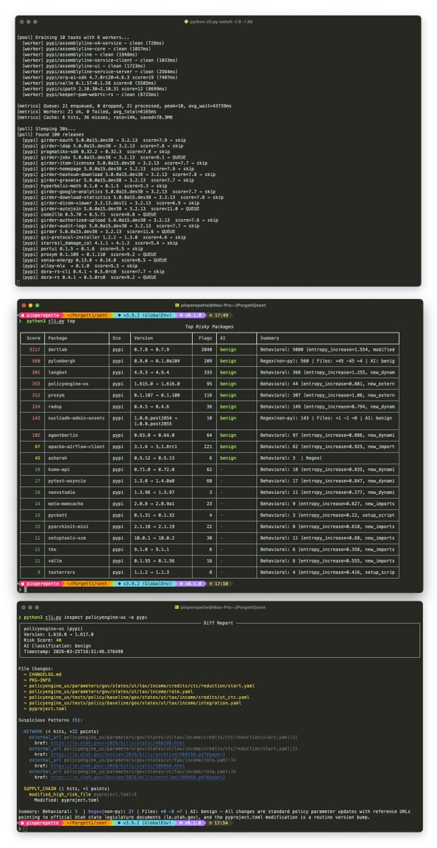 🏴‍☠️ The Pirate 🏴‍☠️ tweet media