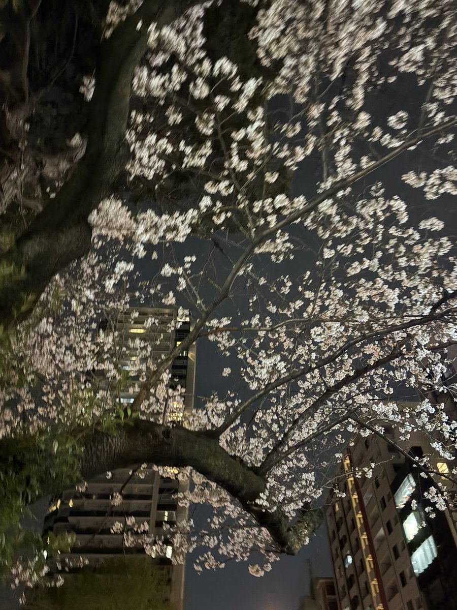 やどかり tweet media