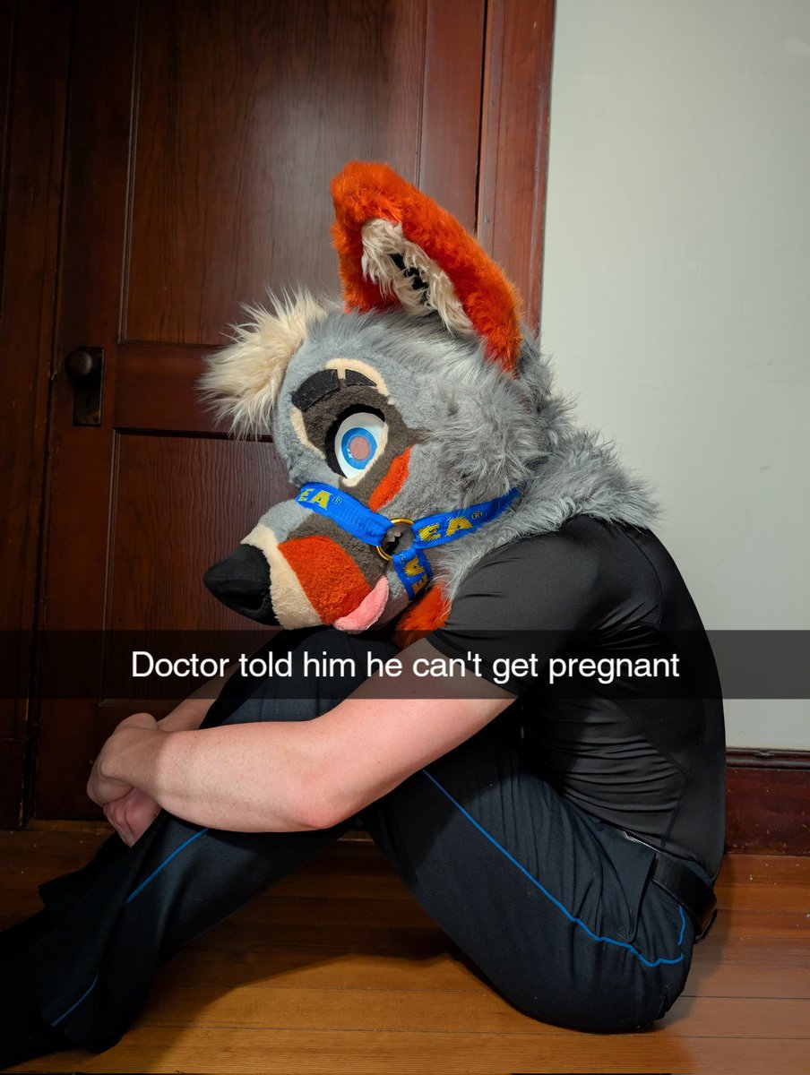 Lucky 🐾 tweet media