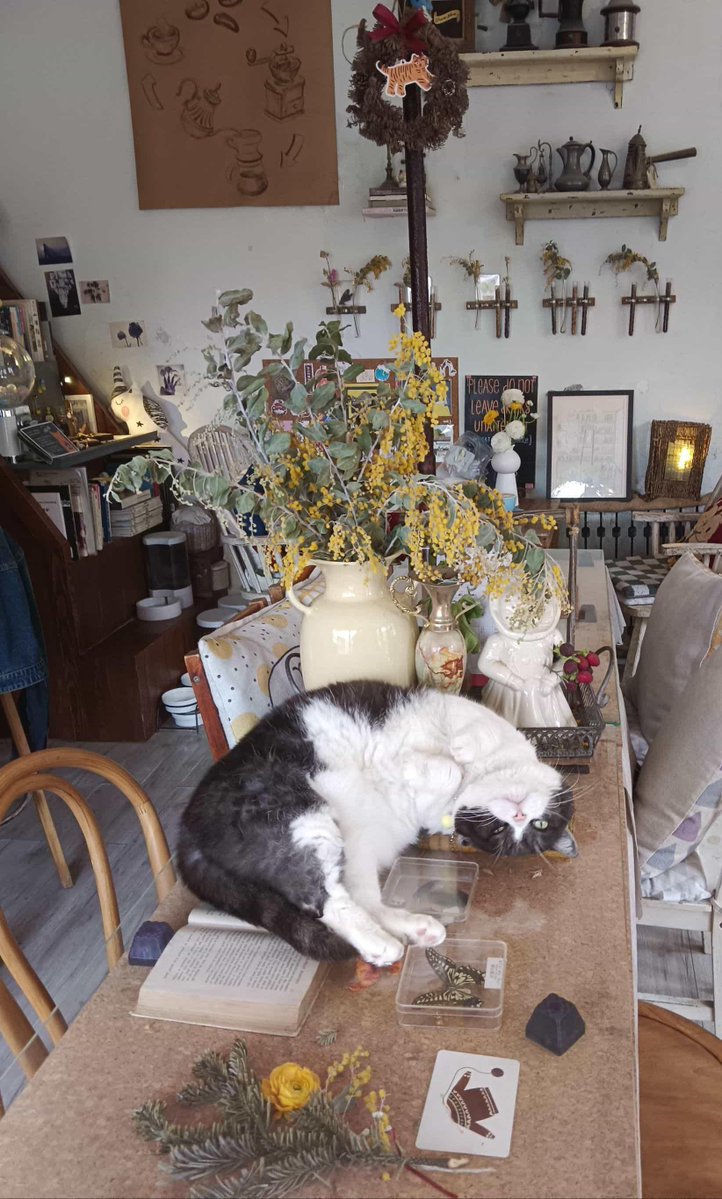 Dani Fernandezz tweet media