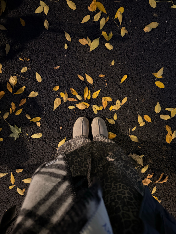 sam zubrod tweet media