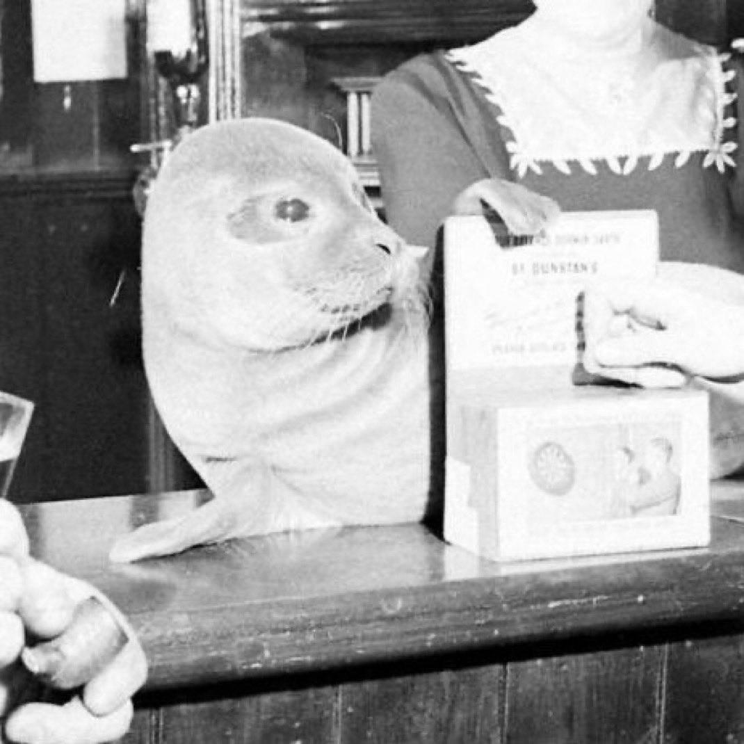 Herbuurna 🦭🇵🇷 tweet media