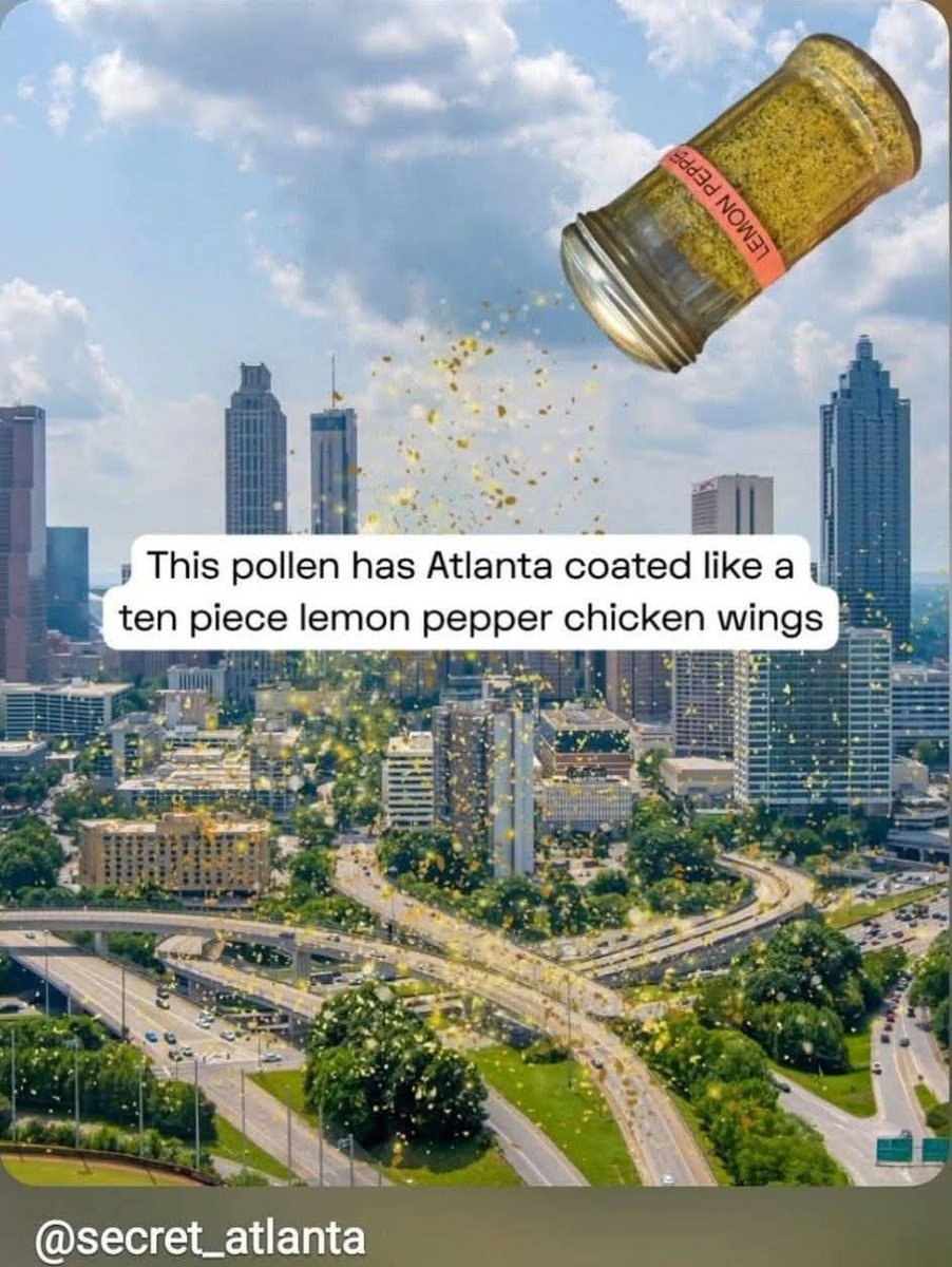 Signe Dillon Alberts tweet media