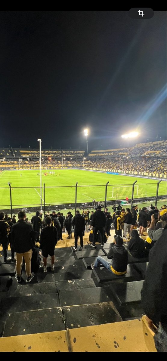 ZonaSuarez tweet media