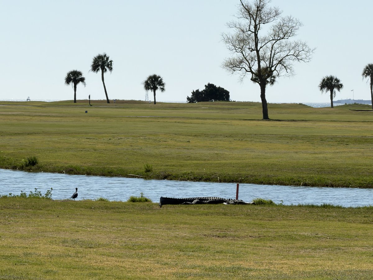 Stasmayer, Inc. tweet media