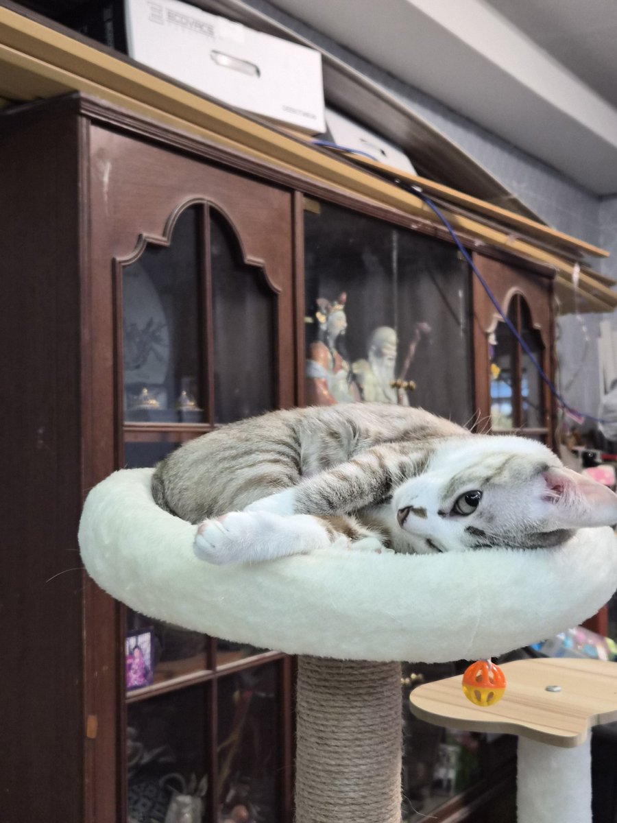 nnnnnnnnnnn tweet media