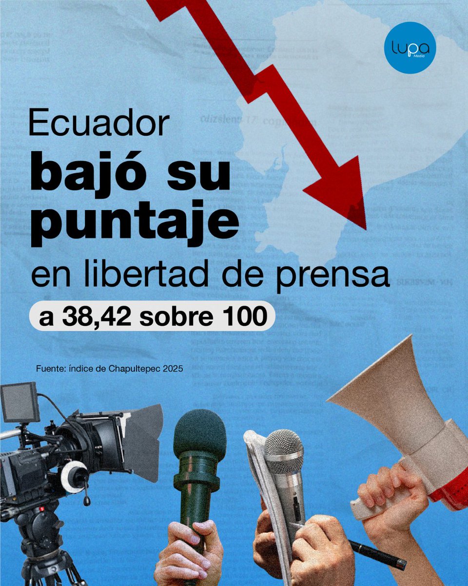 Lupa Media tweet media