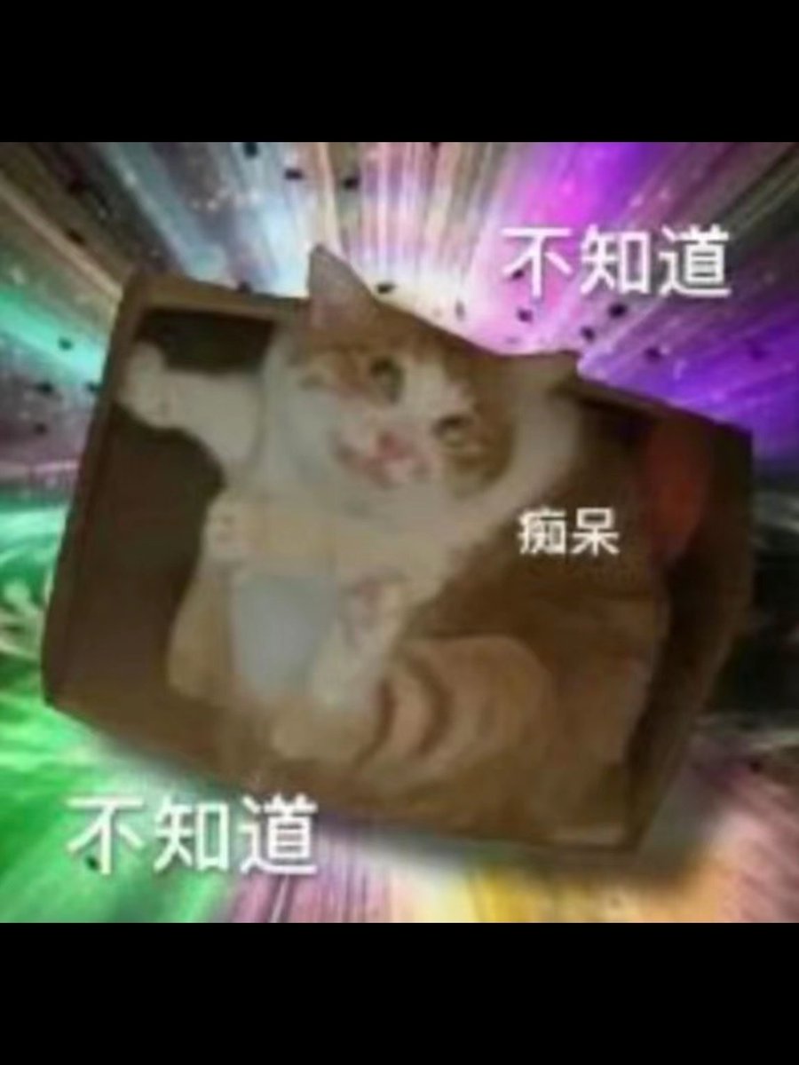 papi帕皮蒸蒸 tweet media