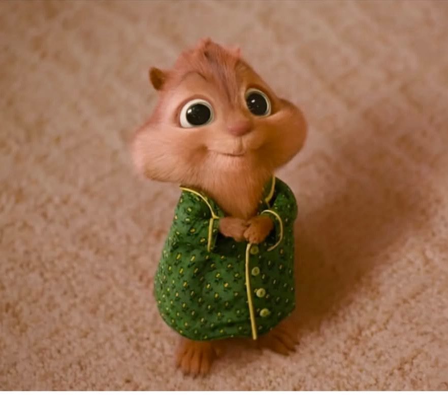 🍂☕️ #dahaiyi📼 tweet media