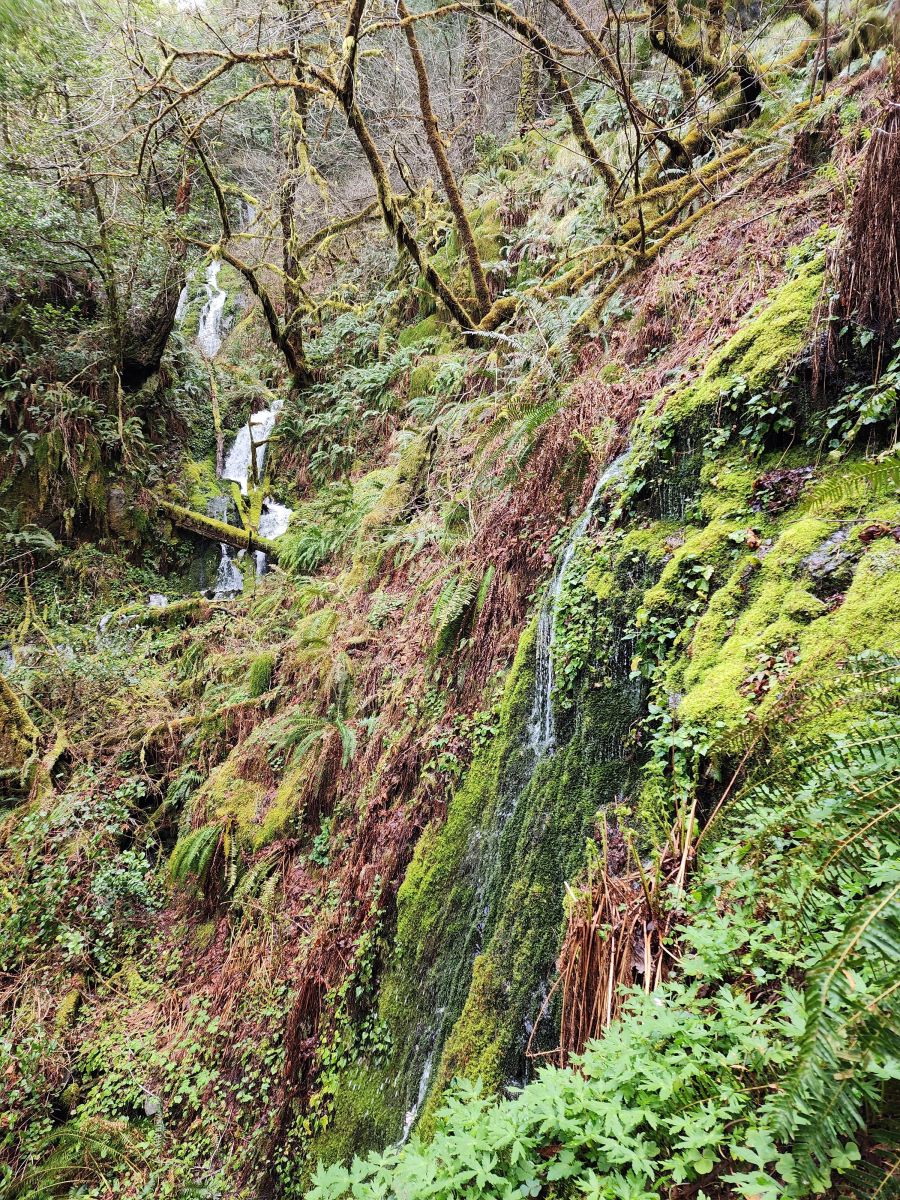 laura vickers tweet media