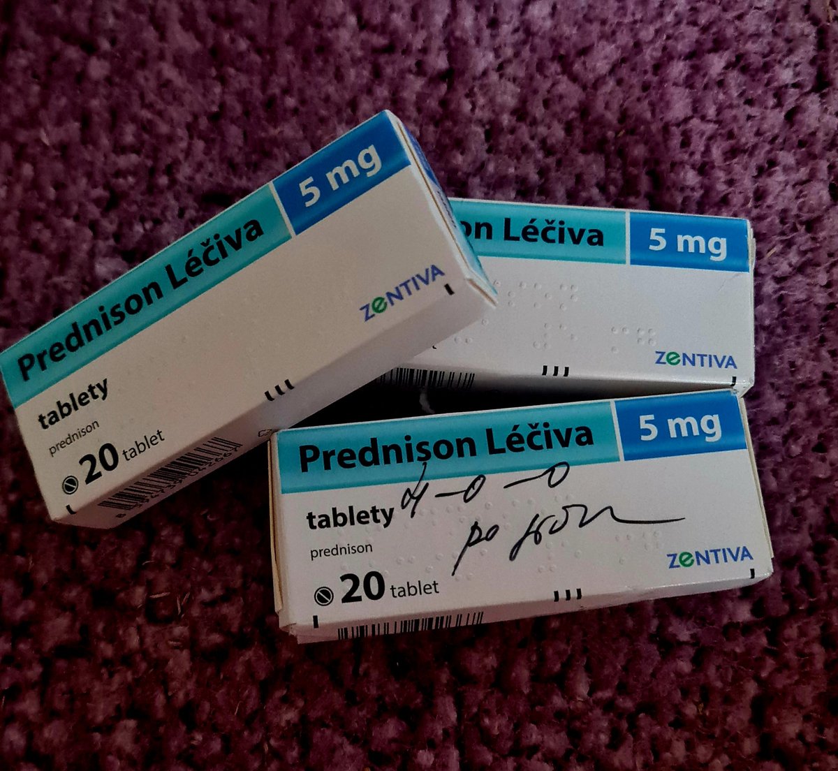 ↝𝓓𝓲𝓽𝓪 ↜ tweet media