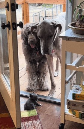 jessica gradener tweet media