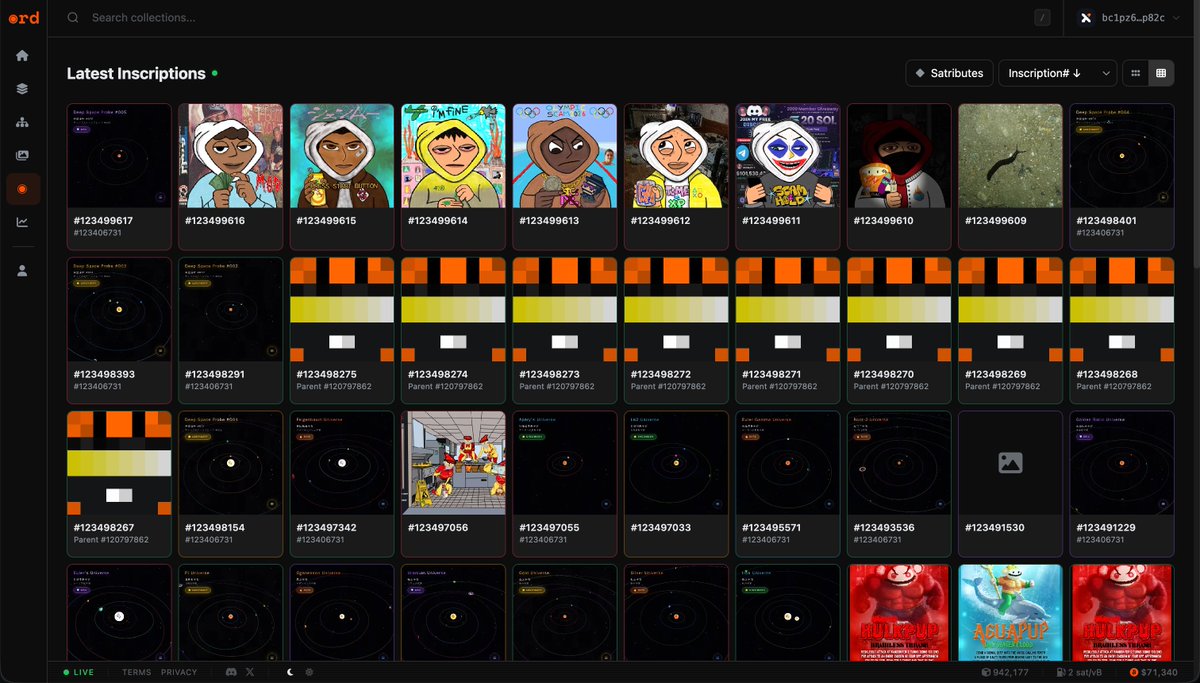 lifofifo ◉ tweet media