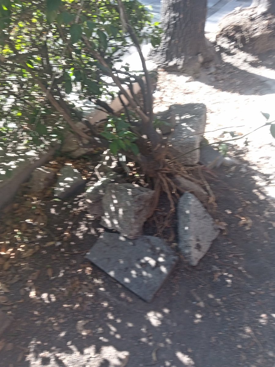 Tete94889091's tweet photo. @sobse @SEDEMA_CDMX @GobCDMX @ClaraBrugadaM hicieron obras en insurgentes entre Antonio Caso y Sullivan, desde enero y no volvieron, quitaron jardineras de árboles y pusieron unas que parecen banquetitas, dejaron lleno de arena,hay árboles cayendo,todo eso respiramos https://t.co/azsCmFnzxH