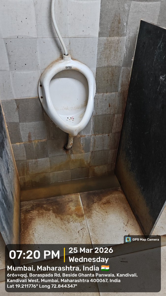 Bob the identifier tweet media