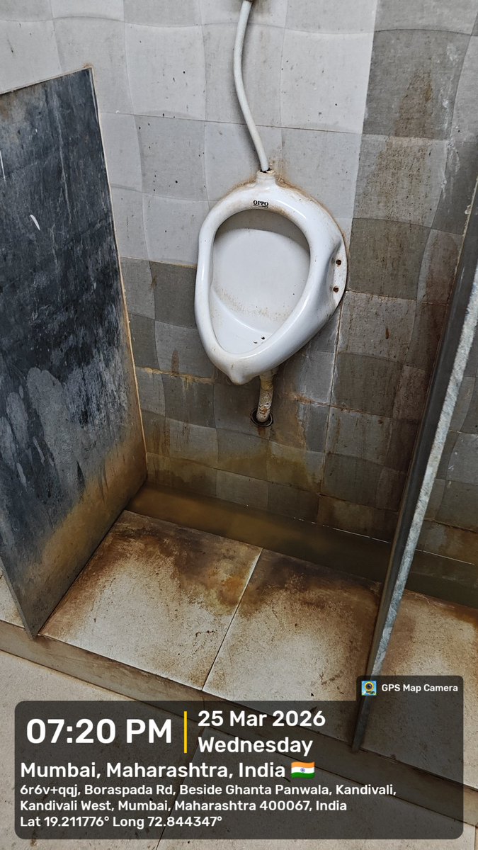 Bob the identifier tweet media