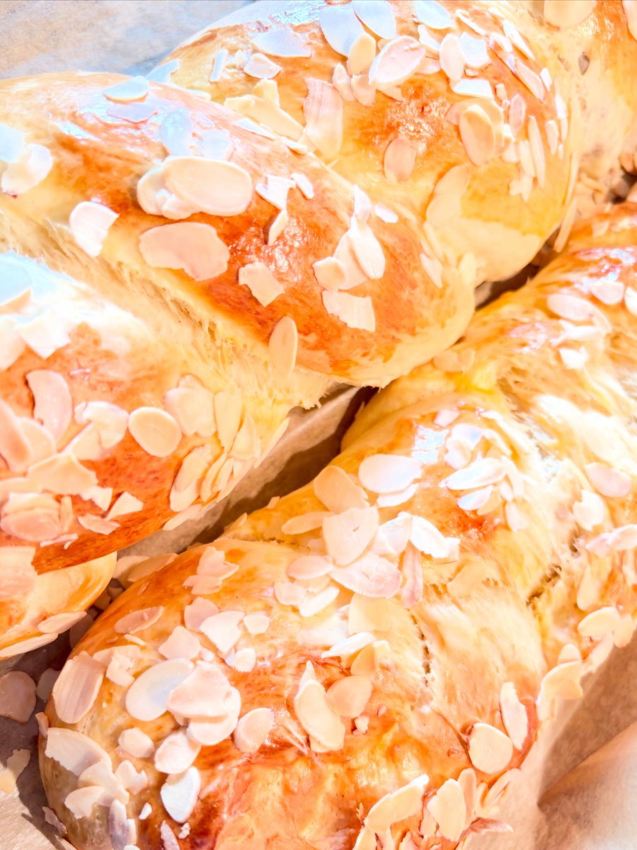 tigermaus8 tweet media